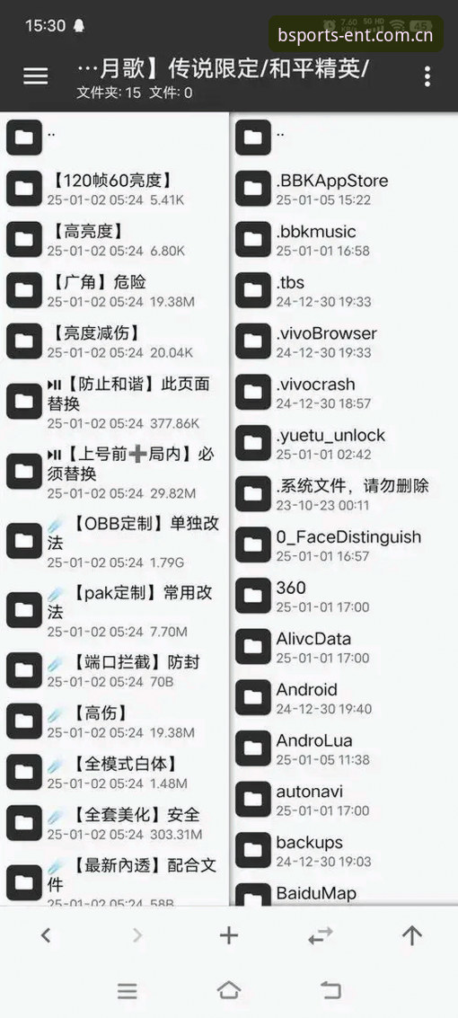 BSports娱乐平台2025新版使用指南：从下载到个性化设置的完整教程